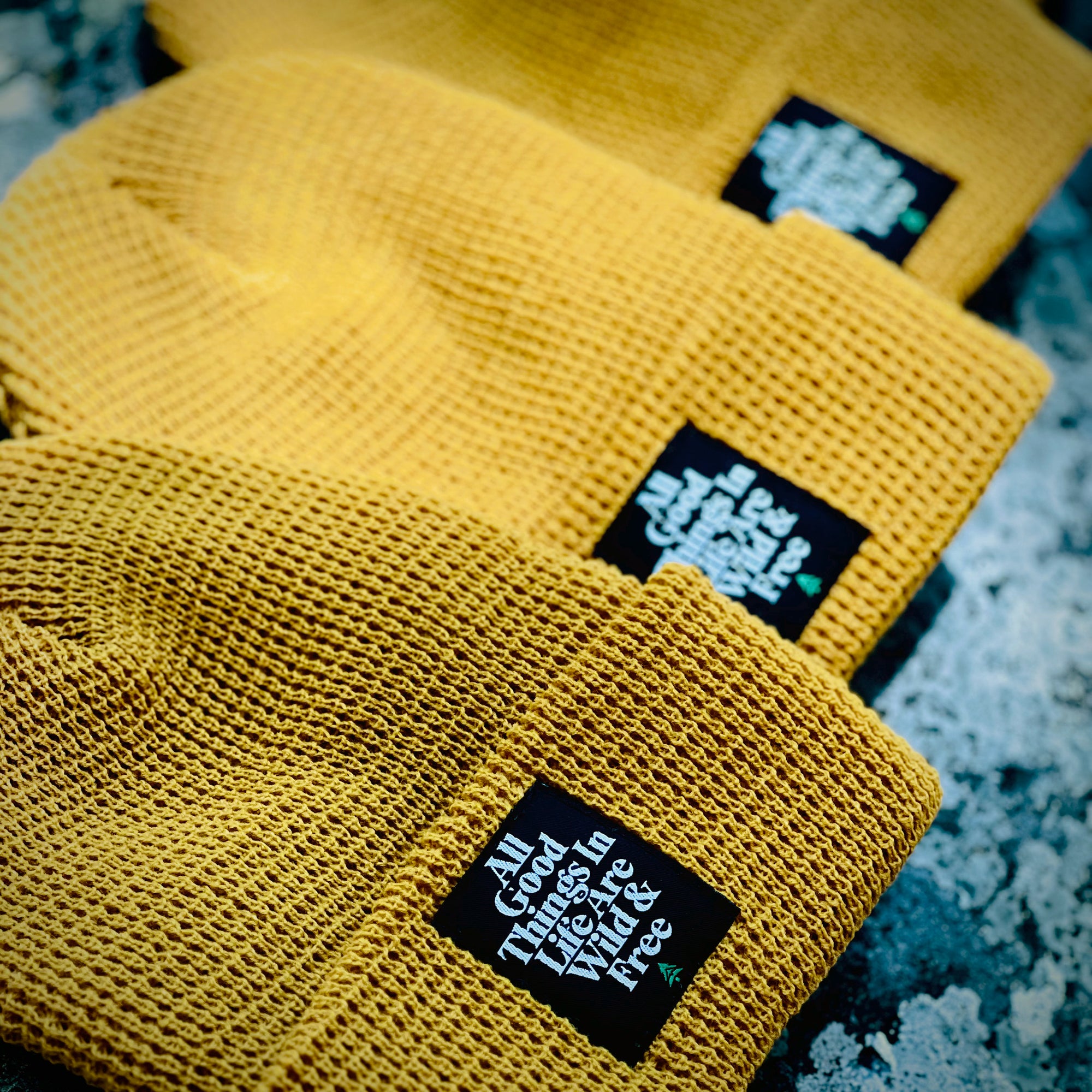 All Good Things Are Wild & Free Waffle Cuffed Beanie